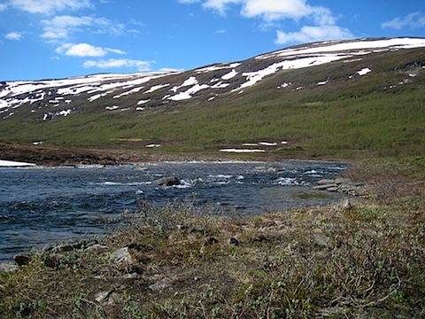 Abisko Juni 2009 dag 4 - 26.jpg